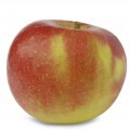 Äpfel Diwa® (Sorte Milwa) (säuerlich)