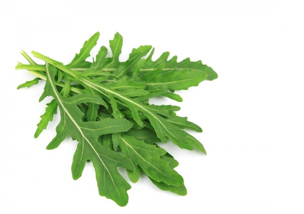 Rucola